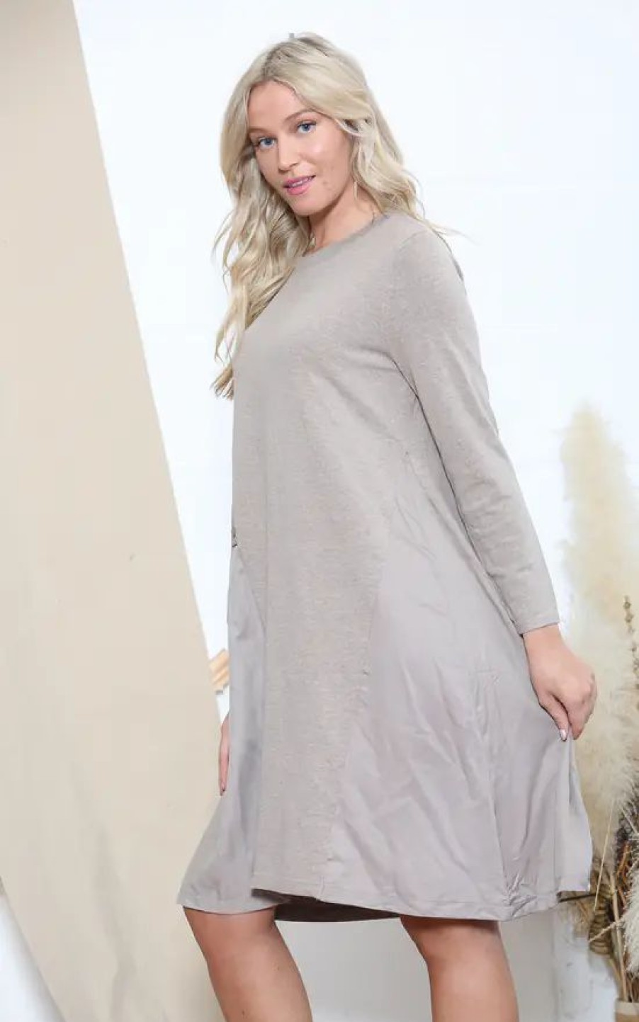 Dresses * | Flash Sale Lucy Sparks Taupe Long Sleeve Dress With Panels